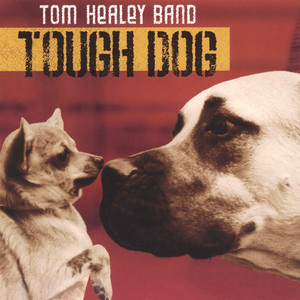 Discografía - Tom Healey Band — Festivaly.eu