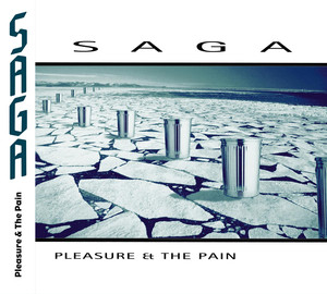 Pleasure and the Pain album