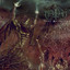 Opus Nocturne cover