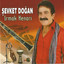 Sevket Dogan