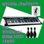 The Essential Robin Hood Lanes Albumcover