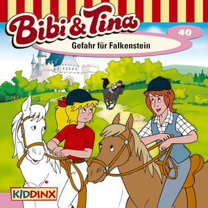 Folge 40: Gefahr für Falkenstein Audiobook