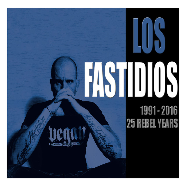 1991 - 2016 25 Rebel Years cover