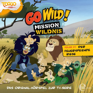 Folge 14: Der feuerspeiende Riese (Das Original-Hörspiel zur TV-Serie) Audiobook