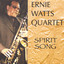 Spirit Song cover