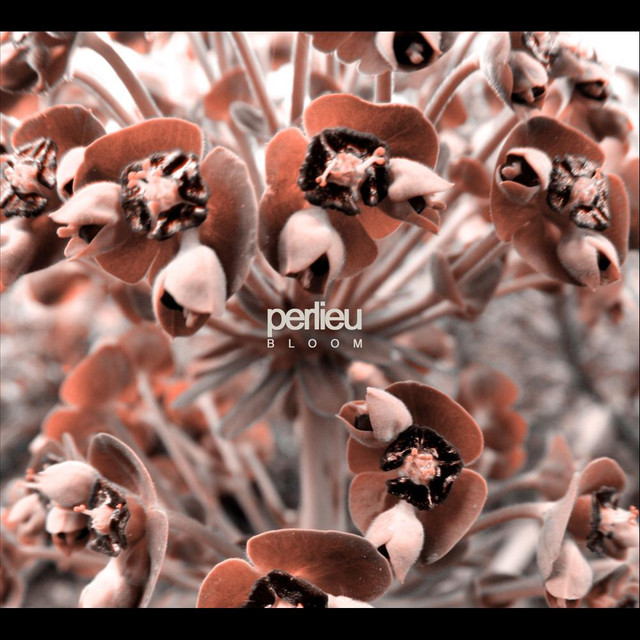 Perlieu Photo
