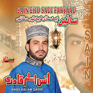 Anas Aslam Qadri
