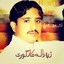 Zra Raala Kaar Ghori Albumcover