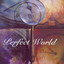 Perfect World Albumcover