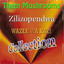 Zilizopendwa Wazee Wa Kazi Collection Albumcover
