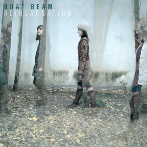 Reincarnation cover