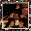 The Pretty Things / Get the Picture? cover