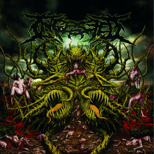 Skinned and Fucked cover