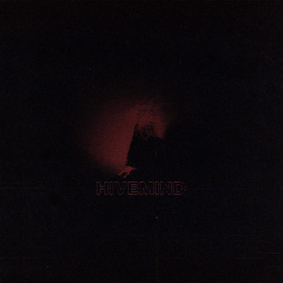 Holehearted Photo
