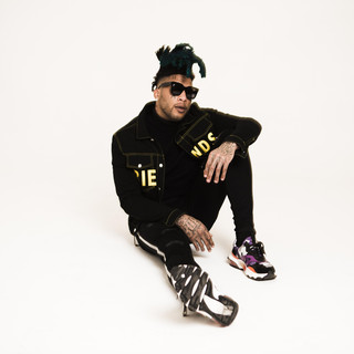 TM88 Photo