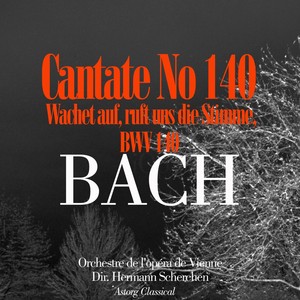 Orchestre de l'op&eacute;ra de Vienne