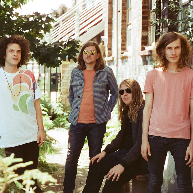 Musik Artist Syd Arthur