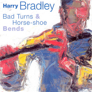 Bad Turns and Horse-shoe Bends cover