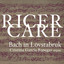 'Ricercare: Bach in Lövstabruk cover