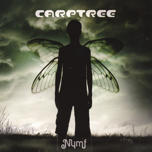 Nymf cover