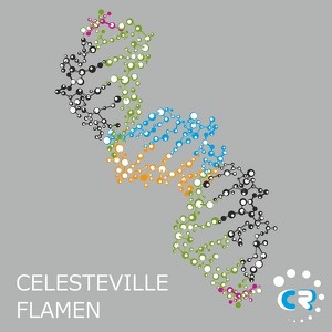 Celesteville Albumcover