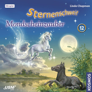 Teil 12: Mondscheinzauber Audiobook