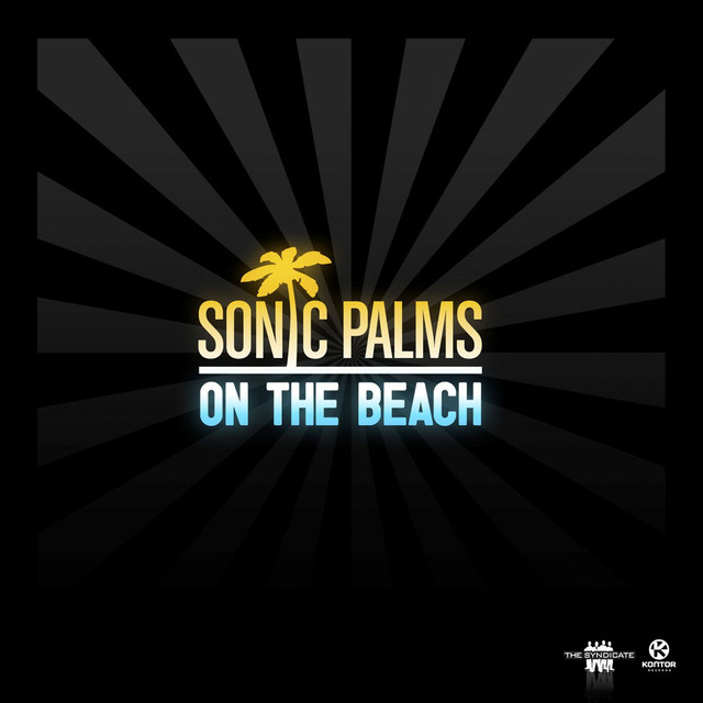 Sonic Palms Photo
