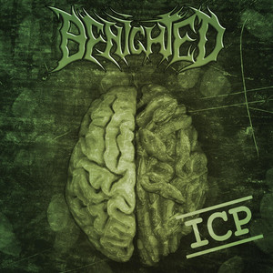 Insane Cephalic Production cover