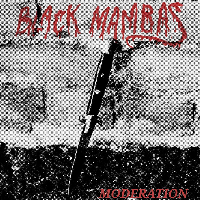Black Mambas Photo