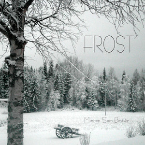 Minnen Som Består album