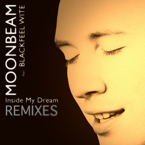 Inside My Dream (Remixes) album