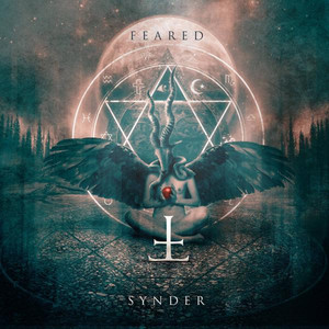 Synder cover
