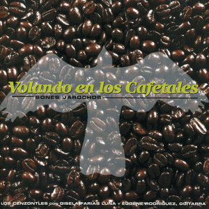 Volando En Los Cafetales album