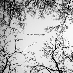 Forest cover