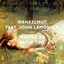 Wankelmut Ft. John Lamonica - Wasted So Much Time