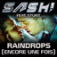 Raindrops (Encore une fois Pt. II) [Remixes] cover