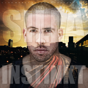 Sillainstinkt cover