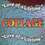 Love of a Lifetime cover