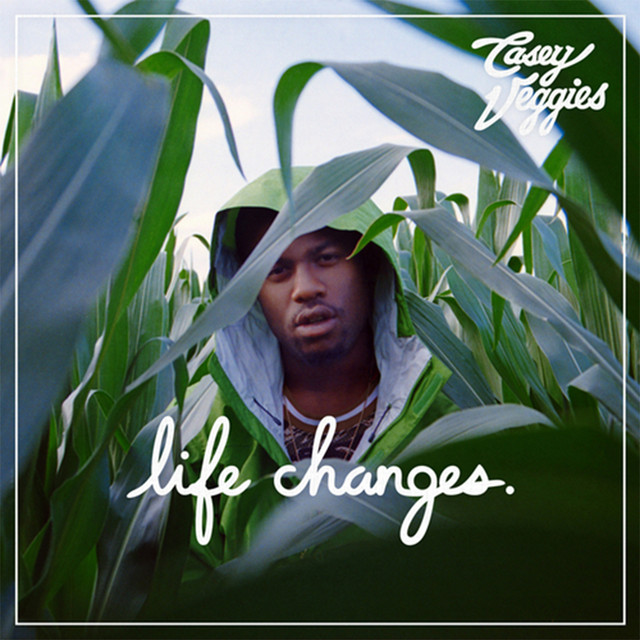 Life Changes cover