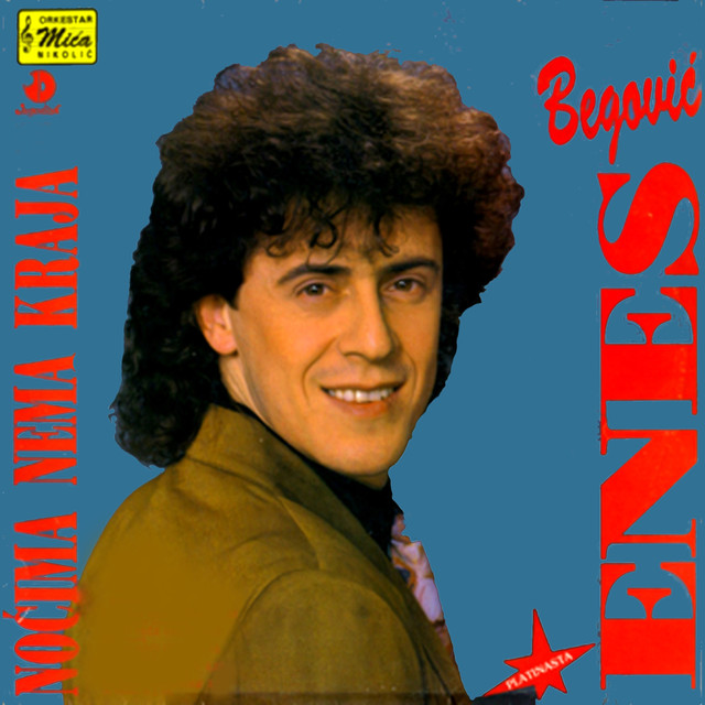 Enes Begović Photo