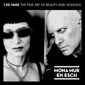 120 Tage - The Fine Art of Beauty & Violence album