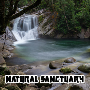 Natural Sanctuary album