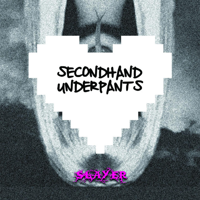 Secondhand Underpants Photo