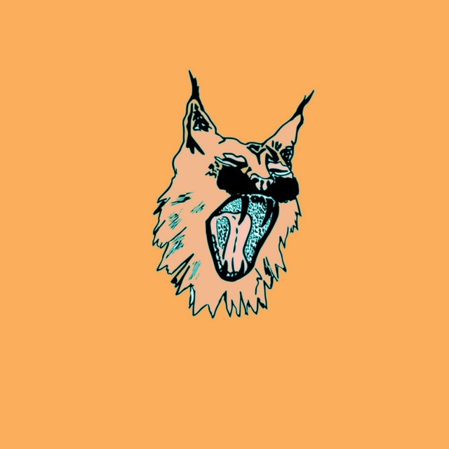 Casino cover