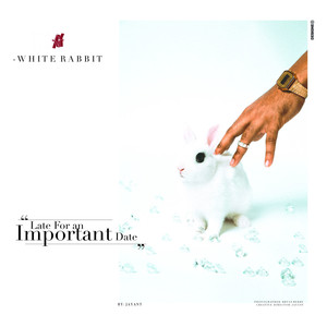 White Rabbit cover