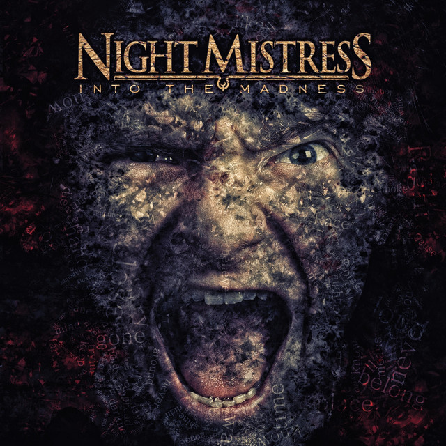 Into The Madness cover