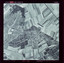 55578 cover