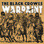 Warpaint cover
