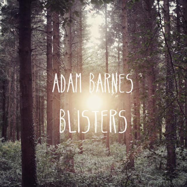 Blisters cover