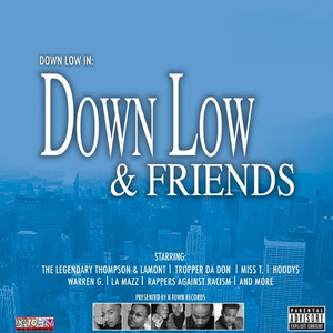 Down Low & Friends cover